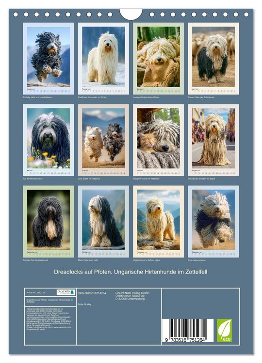 Produktbild: Dreadlocks auf Pfoten. Ungarische Hirtenhunde im Zottelfell (Wandkalender 2027 DIN A4 hoch), CALVENDO Monatskalender