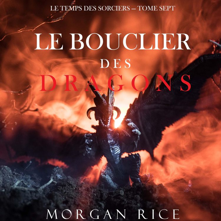 Produktbild: Le Bouclier des Dragons (Le Temps des Sorciers &mdash; Tome Sept)