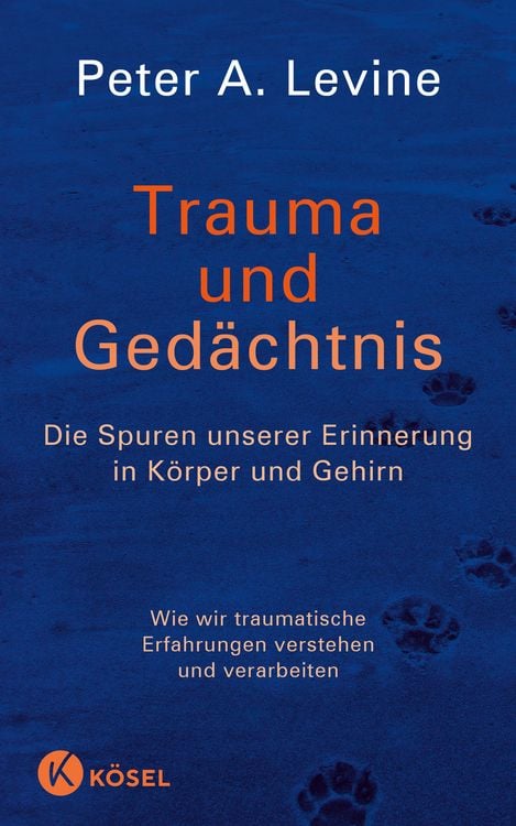 Produktbild: Trauma und Ged&auml;chtnis