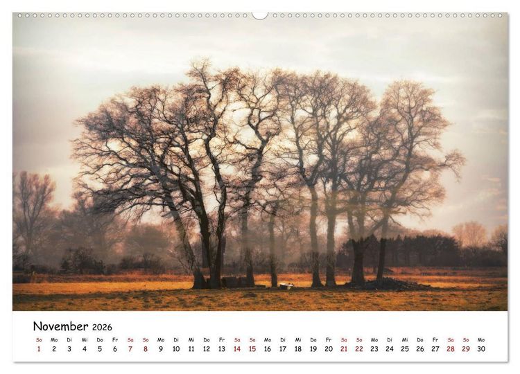 Produktbild: Pinneberger Art (hochwertiger Premium Wandkalender 2026 DIN A2 quer), Kunstdruck in Hochglanz