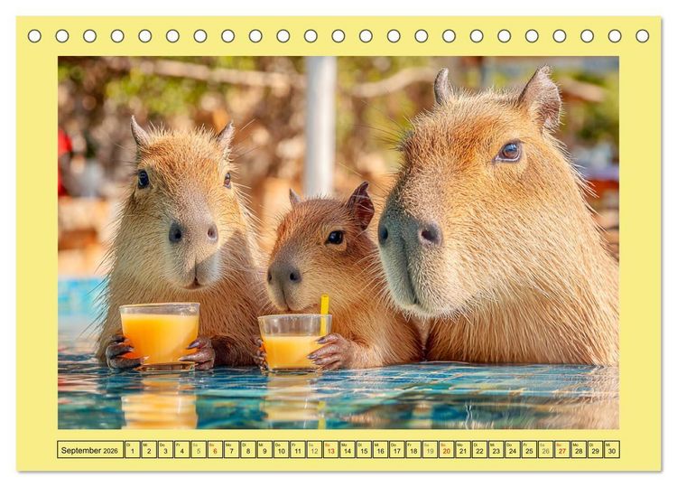 Produktbild: Capybaras on Tour. Wasserschweine als Weltenbummler (Tischkalender 2026 DIN A5 quer), CALVENDO Monatskalender