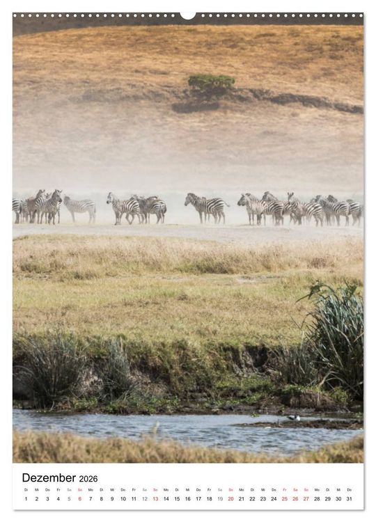 Produktbild: Serengeti Pur - Tansania (Wandkalender 2026 DIN A2 hoch), CALVENDO Monatskalender