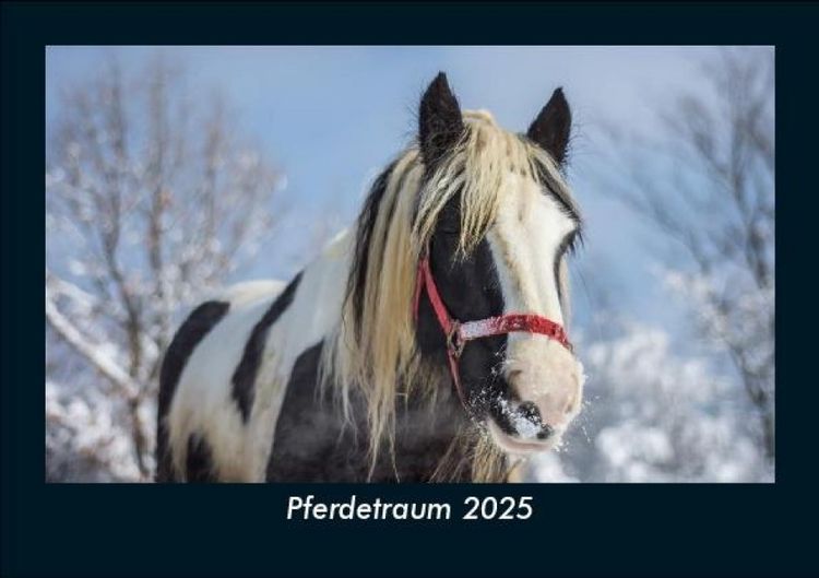 Produktbild: Pferdetraum 2025 Fotokalender DIN A5
