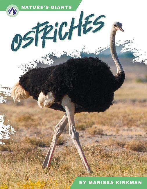 Produktbild: Ostriches