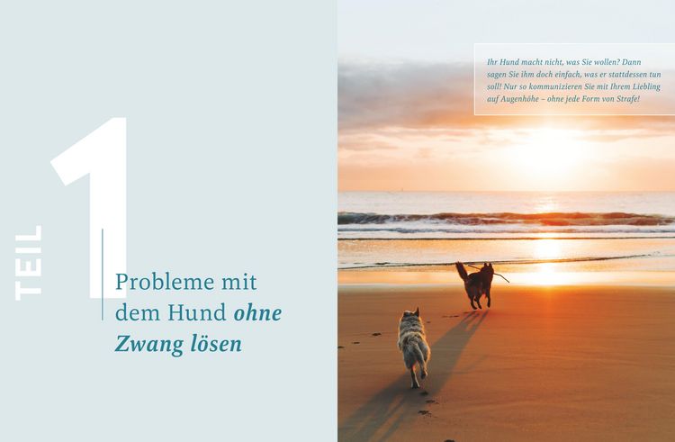Produktbild: Hilfe, mein Hund macht, was er will!