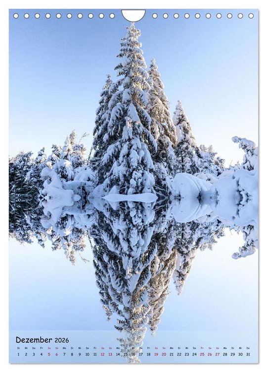 Produktbild: Spiegelb&auml;ume (Wandkalender 2026 DIN A4 hoch), CALVENDO Monatskalender