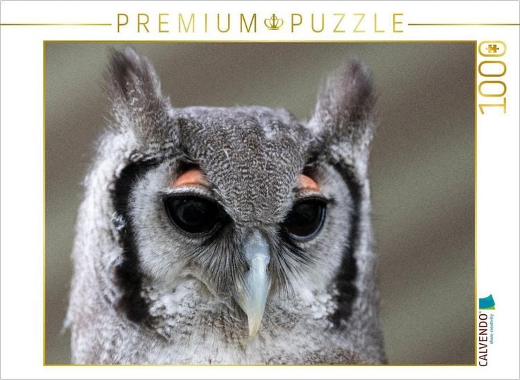 Produktbild: CALVENDO Puzzle Ein Motiv aus dem Kalender Greifv&ouml;gel und Eulen | 1000 Teile Lege-Gr&ouml;&szlig;e 64x48cm Foto-Puzzle f&uuml;r gl&uuml;ckliche Stunden