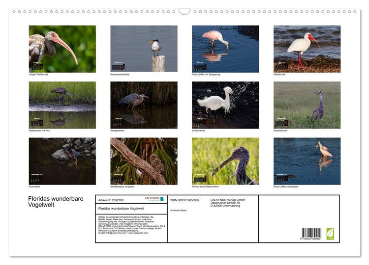 Produktbild: Floridas wunderbare Vogelwelt (Wandkalender 2026 DIN A2 quer), CALVENDO Monatskalender