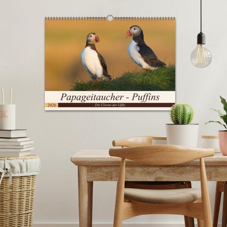 Produktbild: Papageitaucher - Puffins (Wandkalender 2026 DIN A3 quer), CALVENDO Monatskalender