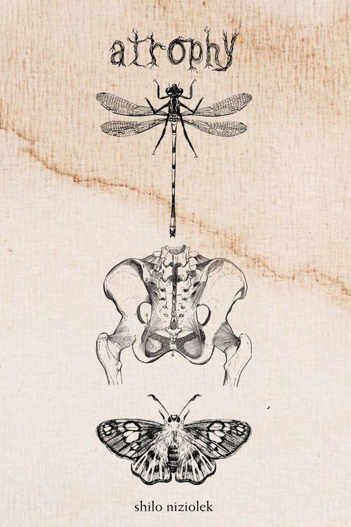 Produktbild: Atrophy