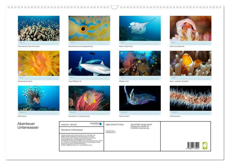 Produktbild: Abenteuer Unterwasser (Wandkalender 2026 DIN A2 quer), CALVENDO Monatskalender