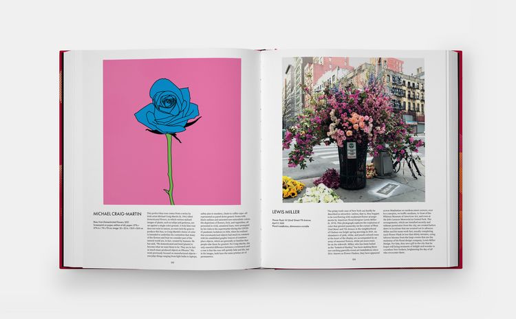 Produktbild: The Rose Book