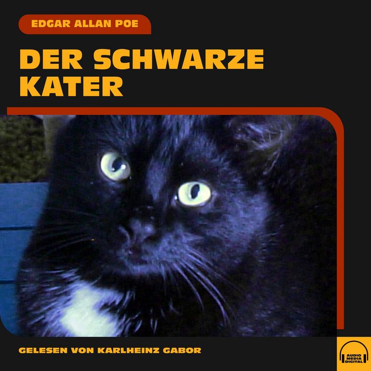 Produktbild: Der schwarze Kater