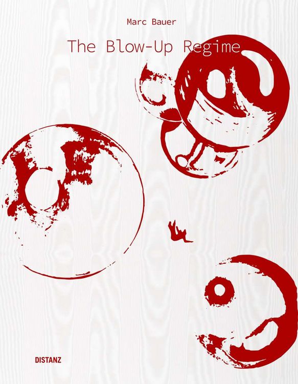 Produktbild: The Blow-Up Regime