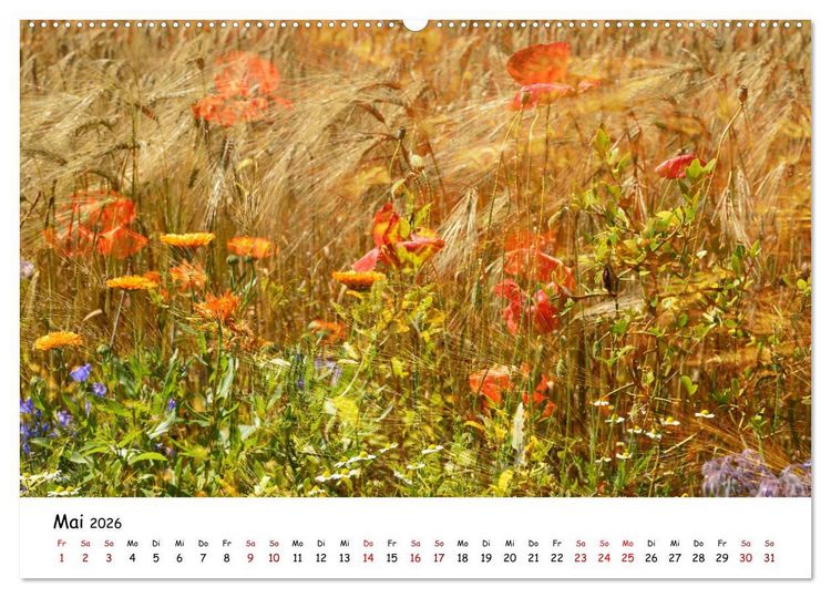Produktbild: Pinneberger Art (hochwertiger Premium Wandkalender 2026 DIN A2 quer), Kunstdruck in Hochglanz