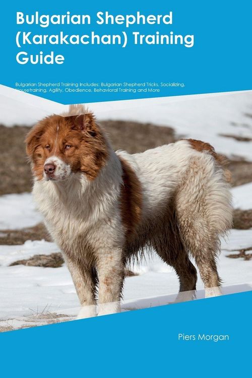 Produktbild: Bulgarian Shepherd (Karakachan) Training Guide Bulgarian Shepherd Training Includes