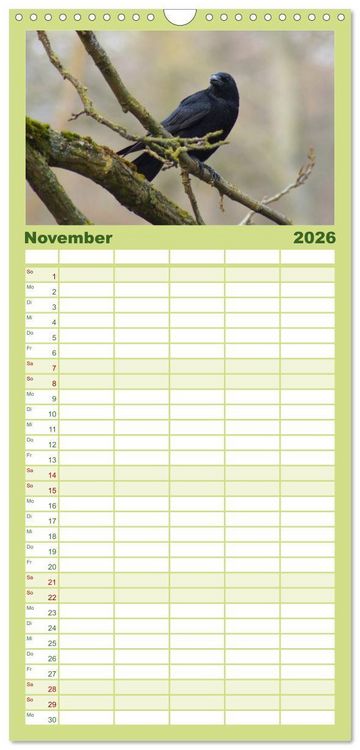 Produktbild: Familienplaner 2026 - Das Leben der Rabenv&ouml;gel mit 5 Spalten (Wandkalender, 21 x 45 cm) CALVENDO