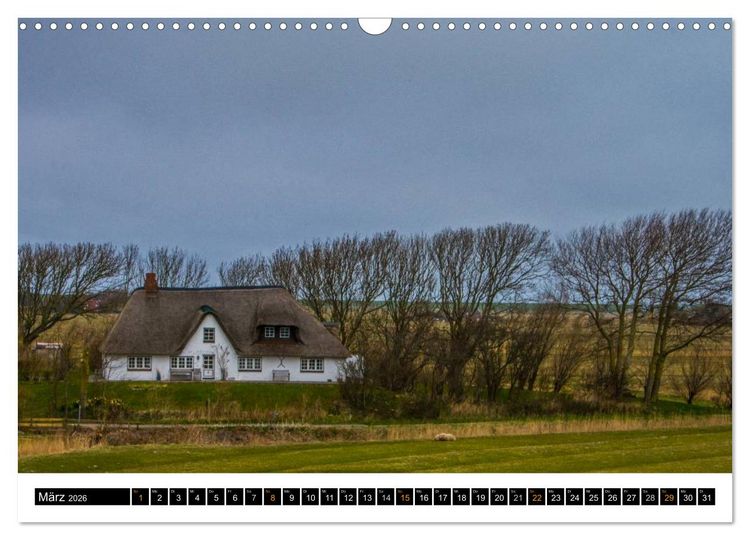 Produktbild: Tr&auml;umende Bilder - Die Nordseehalbinsel Eiderstedt (Wandkalender 2026 DIN A3 quer), CALVENDO Monatskalender
