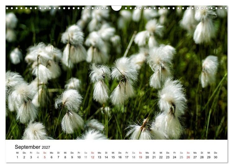 Produktbild: Paradies Naturgarten (Wandkalender 2027 DIN A3 quer), CALVENDO Monatskalender