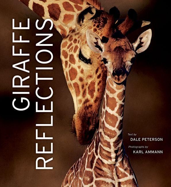 Produktbild: Giraffe Reflections
