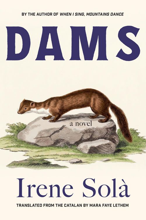 Produktbild: Dams