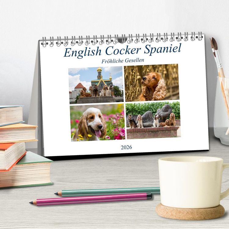 Produktbild: English Cocker Spaniel - Fr&ouml;hliche Gesellen (Tischkalender 2026 DIN A5 quer), CALVENDO Monatskalender
