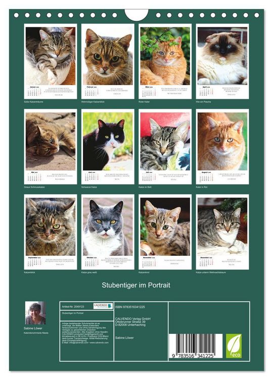 Produktbild: Stubentiger im Portrait (Wandkalender 2026 DIN A4 hoch), CALVENDO Monatskalender