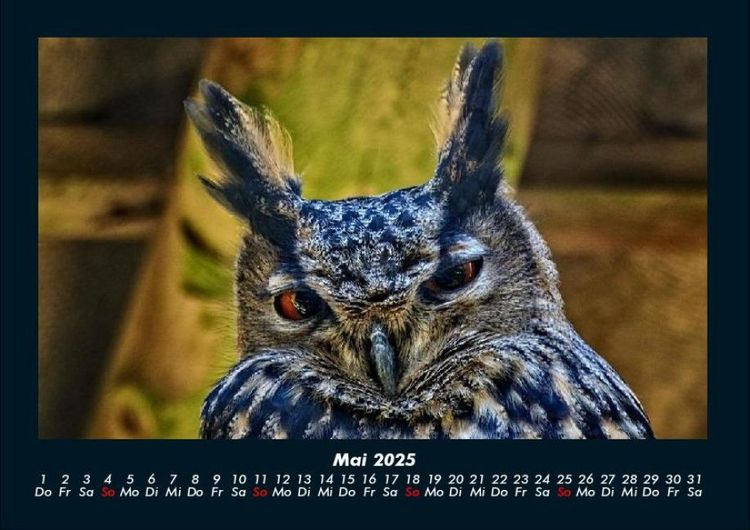 Produktbild: Vogelparadies 2025 Fotokalender DIN A4