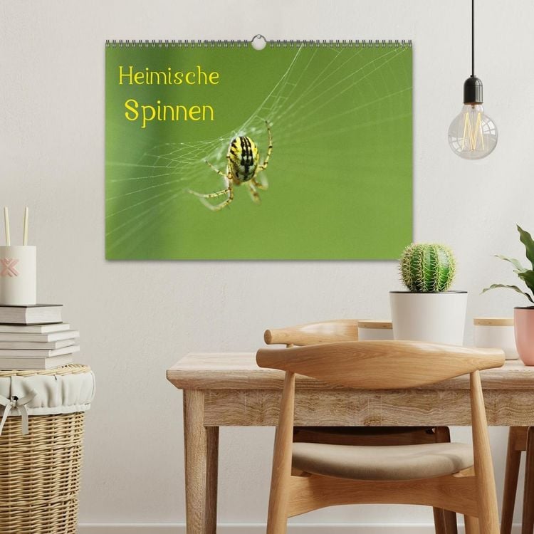Produktbild: Heimische Spinnen (Wandkalender 2027 DIN A3 quer), CALVENDO Monatskalender