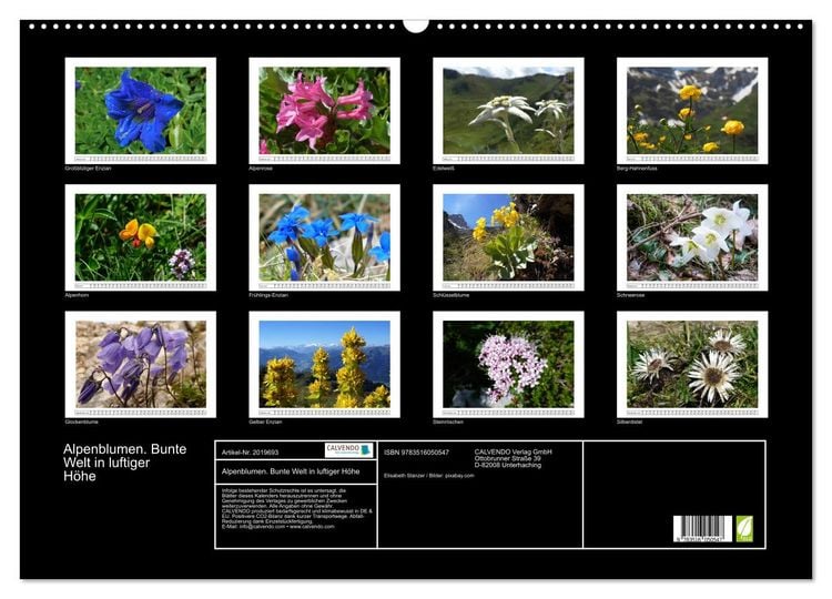 Produktbild: Alpenblumen. Bunte Welt in luftiger H&ouml;he (Wandkalender 2026 DIN A2 quer), CALVENDO Monatskalender