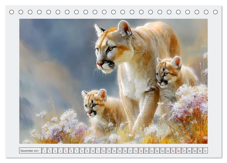 Produktbild: Pumababys. Verspielte Bergl&ouml;wenkinder in der Natur (Tischkalender 2027 DIN A5 quer), CALVENDO Monatskalender