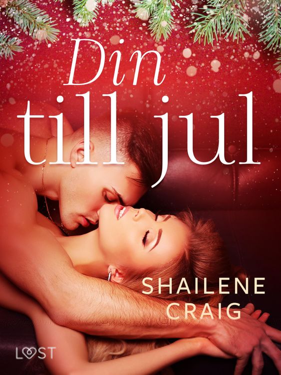 Produktbild: Din till jul - erotisk julnovell