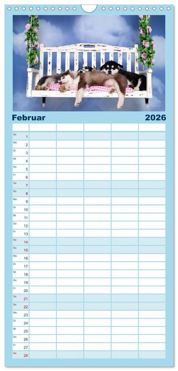 Produktbild: Familienplaner 2026 - S&uuml;&szlig;e Tr&auml;ume 2026 - schlafende Hundewelpen mit 5 Spalten (Wandkalender, 21 x 45 cm) CALVENDO