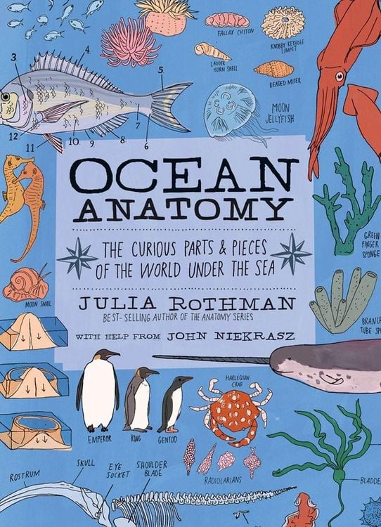 Produktbild: Ocean Anatomy