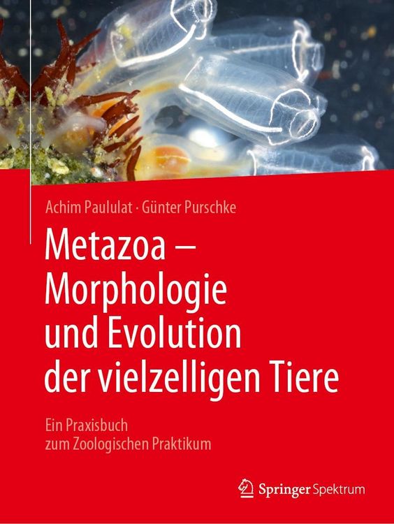 Produktbild: Metazoa - Morphologie und Evolution der vielzelligen Tiere