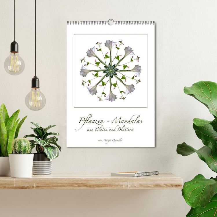Produktbild: Pflanzen - Mandalas aus Bl&uuml;ten und Bl&auml;ttern (Wandkalender 2026 DIN A3 hoch), CALVENDO Monatskalender