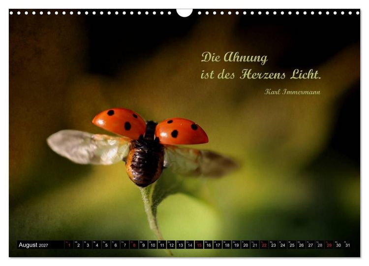 Produktbild: Das kleine, gro&szlig;e Gl&uuml;ck (Wandkalender 2027 DIN A3 quer), CALVENDO Monatskalender