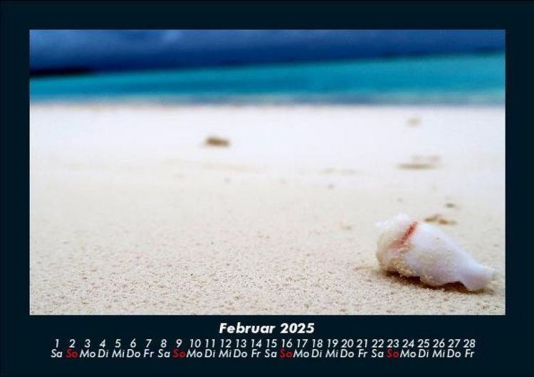 Produktbild: Bilder aus der Natur 2025 Fotokalender DIN A5