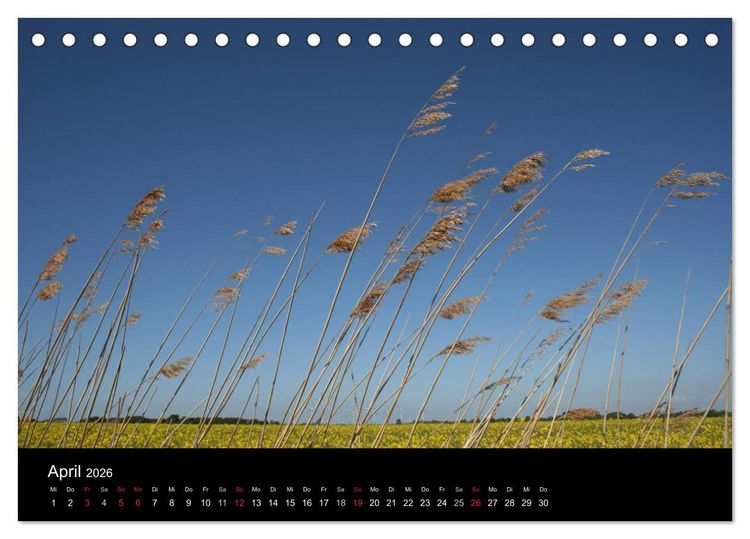 Produktbild: Wunderbare Nordsee (Tischkalender 2026 DIN A5 quer), CALVENDO Monatskalender