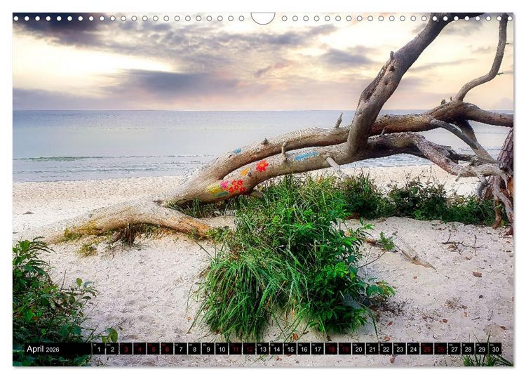 Produktbild: Fischland - Dar&szlig;- Zingst (Wandkalender 2026 DIN A3 quer), CALVENDO Monatskalender