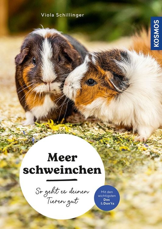 Produktbild: Meerschweinchen