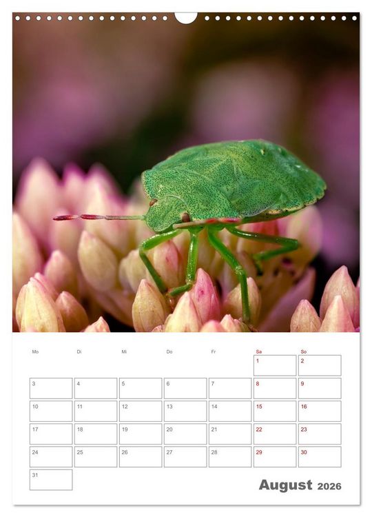 Produktbild: Helden in der Natur (Wandkalender 2026 DIN A3 hoch), CALVENDO Monatskalender