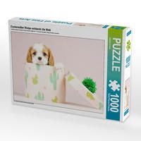 Produktbild: CALVENDO Puzzle Zuckers&uuml;&szlig;er Welpe entdeckt die Welt | 1000 Teile Lege-Gr&ouml;&szlig;e 64x48cm Foto-Puzzle f&uuml;r gl&uuml;ckliche Stunden