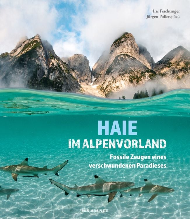 Produktbild: Haie im Alpenvorland