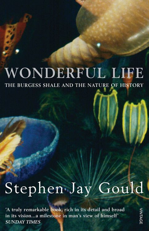 Produktbild: Wonderful Life