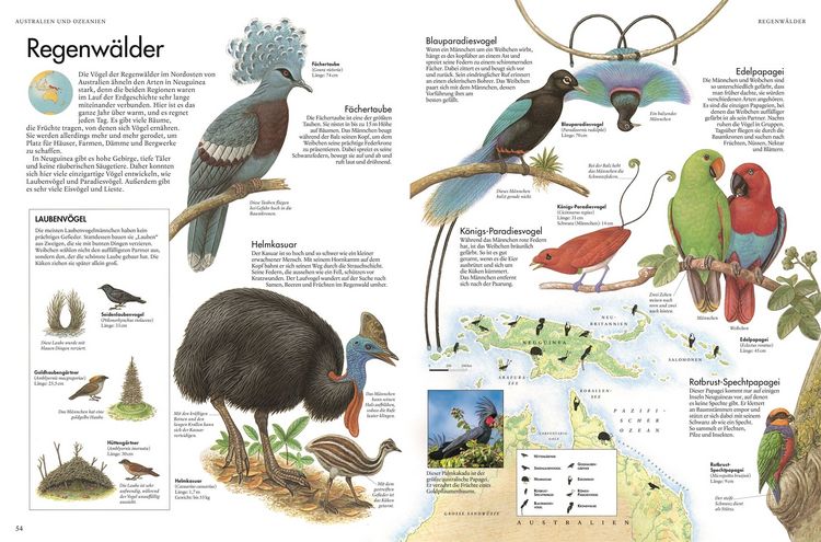 Produktbild: Atlas der V&ouml;gel