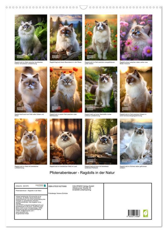 Produktbild: Pfotenabenteuer - Ragdolls in der Natur (Wandkalender 2026 DIN A2 hoch), CALVENDO Monatskalender