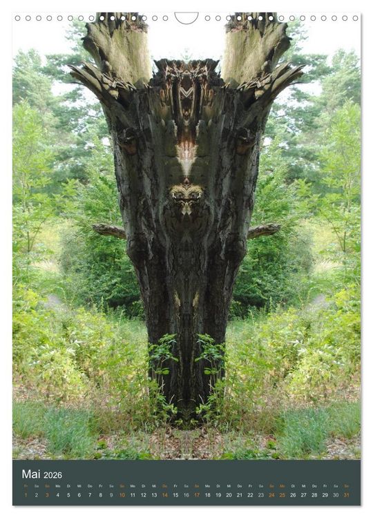 Produktbild: Spiegelwelten - Botschaften der Naturwesen (Wandkalender 2026 DIN A3 hoch), CALVENDO Monatskalender