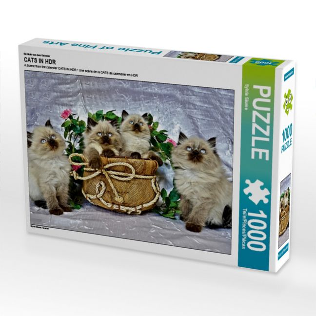 Produktbild: CALVENDO Puzzle Ein Motiv aus dem Kalender CATS IN HDR | 1000 Teile Lege-Gr&ouml;&szlig;e 64x48cm Foto-Puzzle f&uuml;r gl&uuml;ckliche Stunden