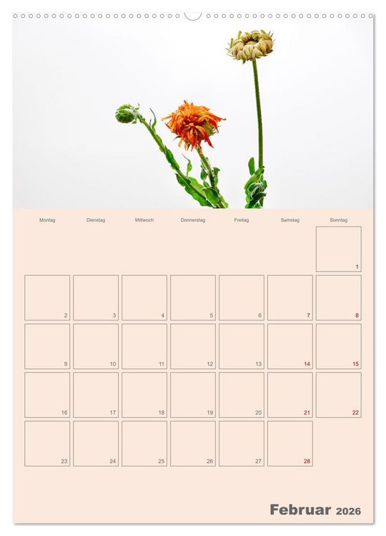 Produktbild: Blumenmetamorphosen (Wandkalender 2026 DIN A2 hoch), CALVENDO Monatskalender